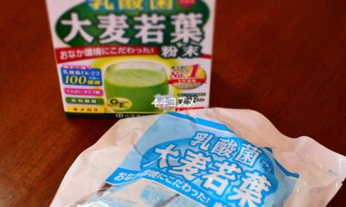 乳酸菌 大麦若葉粉末
